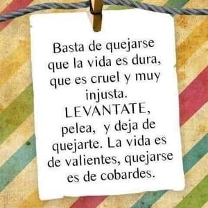 Meet your Posher, Mirella